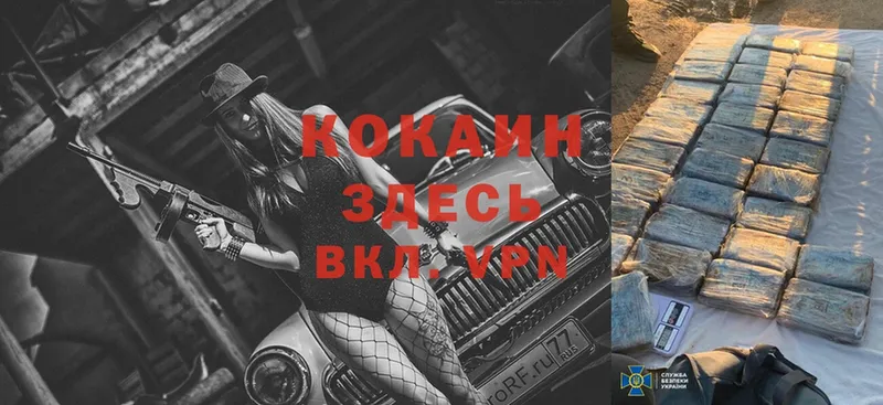 КОКАИН Fish Scale  блэк спрут как войти  Белая Калитва 