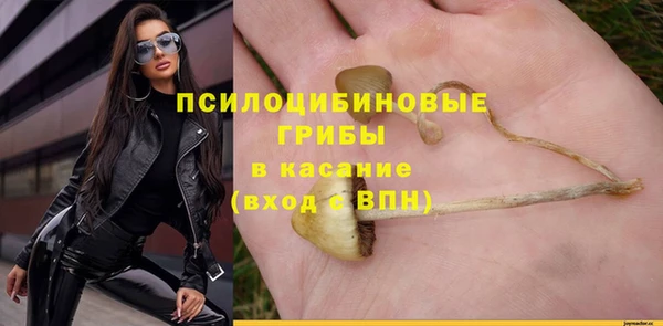 крисы Усмань