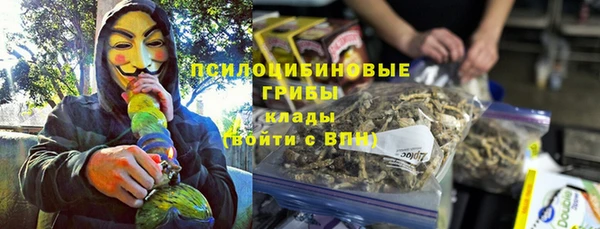 крисы Усмань