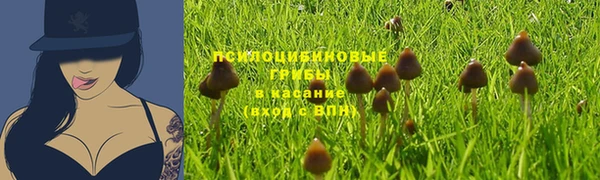 крисы Усмань