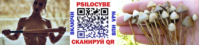 Галлюциногенные грибы прущие грибы  Белая Калитва 