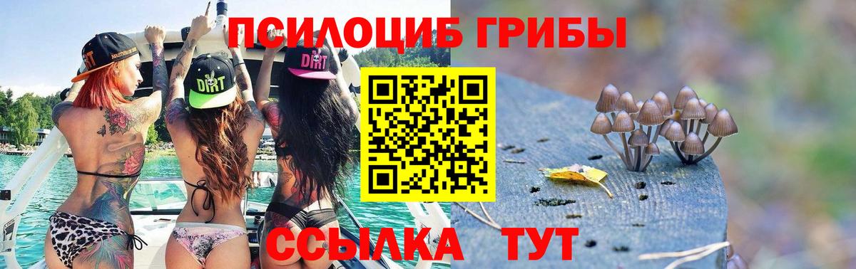 Псилоцибиновые грибы мицелий  цена   Белая Калитва  Галлюциногенные грибы Cubensis 