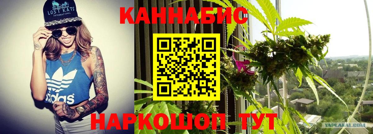 Бошки марихуана THC 21%  Вход с VPN  Бошки Шишки AK-47  Белая Калитва  Бошки марихуана THC 21% 